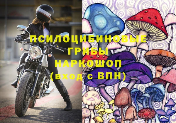 крисы Беломорск