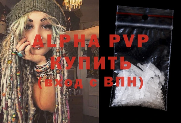 индика Семикаракорск